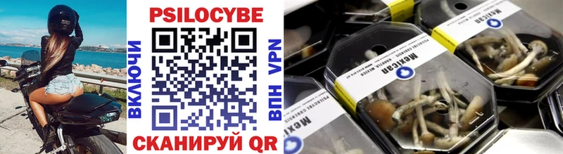 Галлюциногенные грибы Psilocybe как найти наркотики Мосальск